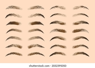 Fashion woman eyebrow shape design in different types