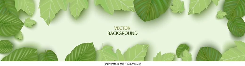 Fashionable background made of realistic leaves.Botanical design for banner,poster, invitation, brochure, cover.Vector illustration.