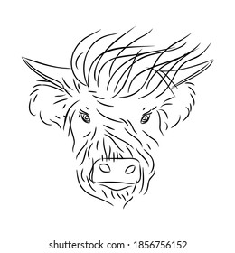 Fashionable bull head with bangs on a white background. The symbol of 2021 is the year of the white metal Ox. Vector illustration.