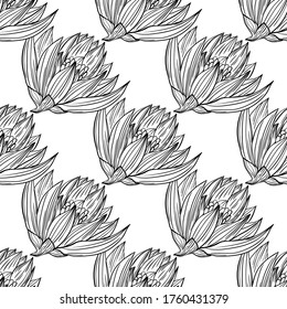 Patrón moderno lindo en las flores nativas de manzanilla y loto. Fondo de flores sin soldadura para textiles, telas, cubiertas, papel pintado, papel impreso, envoltura de regalo o para cualquier fin