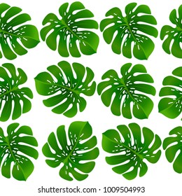 Fashionable floral jungle ornament with monstera leaf tropical seamless pattern vector.