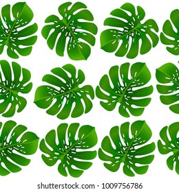 Fashionable floral jungle ornament with monstera leaf tropical seamless pattern vector