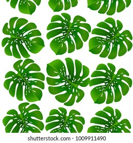 Fashionable floral jungle ornament with monstera leaf tropical seamless pattern vector.