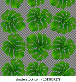 Fashionable floral jungle ornament with monstera leaf tropical seamless pattern vector.