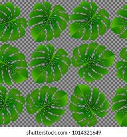 Fashionable floral jungle ornament with monstera leaf tropical seamless pattern vector.