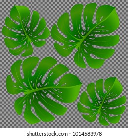 Fashionable floral jungle ornament with monstera leaf tropical pattern vector.