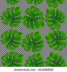 Fashionable floral jungle ornament with monstera leaf tropical seamless pattern vector.