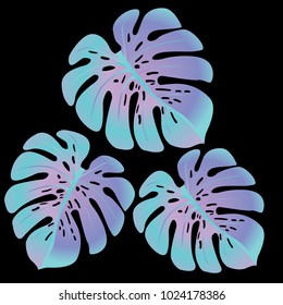 Fashionable floral jungle ornament with monstera leaf tropical pattern vector.