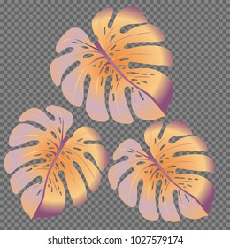Fashionable floral jungle ornament with monstera leaf tropical pattern vector.