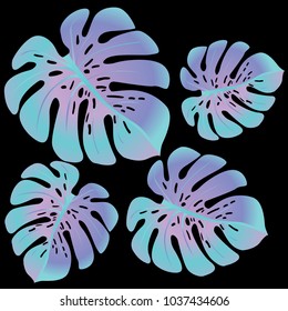Fashionable floral jungle ornament with monstera leaf tropical pattern vector.