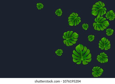 Fashionable floral jungle pattern with monstera leaf tropical pattern vector.