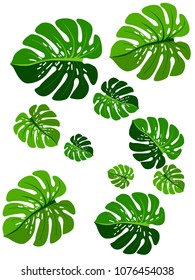 Fashionable floral jungle pattern with monstera leaf tropical pattern vector.