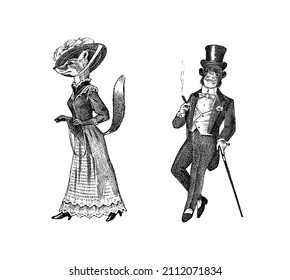 Fashionable fox and monkey in clothes. Gentleman smoking a cigar. Antique lady. Victorian dame and man. Ancient Retro Woman in dress. Vintage engraving style. Hand drawn sketch
