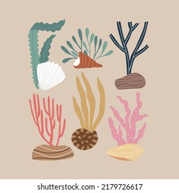 Fashionable print with seashells isolated on the background. Hand-drawn illustration.