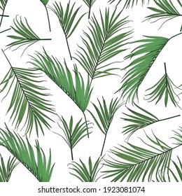 Fashionable seamless tropical pattern with green tropical palm leaves on a white background. Beautiful exotic plants. Trendy summer Hawaii print. Line stylish floral.
