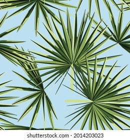 Fashionable seamless tropical pattern with green tropical fan palm leaves on a blue background. Beautiful exotic plants. Trendy summer Hawaii print. 