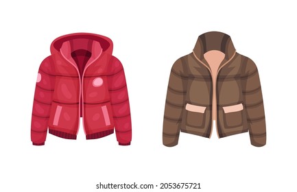 Fashionable women outerwear set. Stylish winter, spring or autumn clothing vector illustration