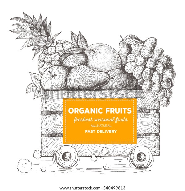 Fast\
delivery of fresh fruits. The box on wheels with fruits. Delivery\
of organic food. Conceptual image, drawn in\
ink.