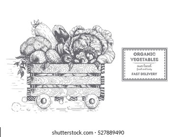 Fast delivery of fresh vegetables. The box on wheels with vegetables. Delivery of organic food. Conceptual image, drawn in ink