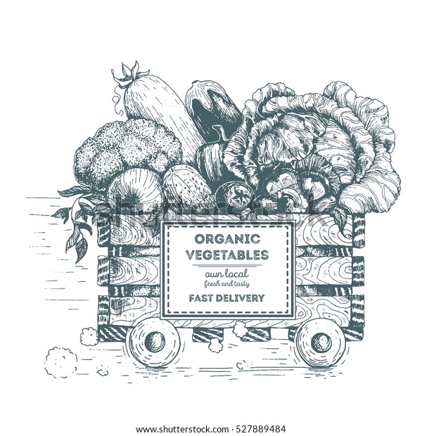 Fast delivery of fresh vegetables. The box on wheels\
with vegetables. Delivery of organic food. Conceptual image, drawn\
in ink