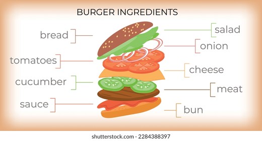 Infografías planas del restaurante de comida rápida con imágenes de hamburguesa voladora y subtítulos de texto que apuntan a la ilustración vectorial de los ingredientes