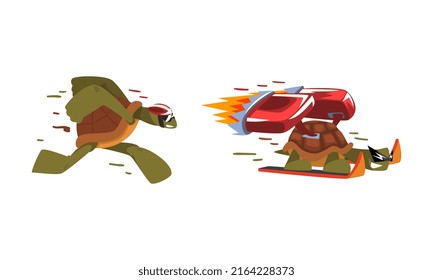 Fast funny turtles set. Funny tortoise running and skiing with turbo speed booster cartoon vector illustration