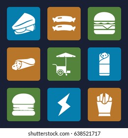 Fast icons set. set of 9 fast filled icons such as sausage, wrap sandwich, french fries, sandwich, cheeseburger, burrito, fast food cart, flash