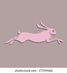 Fast pink running rabbit, you can see other rabbits in my profile