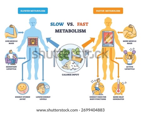 Fast vs Slow Metabolism comparison with two body silhouettes, fire in torso, and calorie plate, explaining energy burn and lifestyle impact. Outline diagram