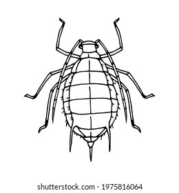 fat aphid back view, voracious insect, parasite, agricultural pest, plant louse, vector illustration with black ink contour lines isolated on a white background in hand drawn style