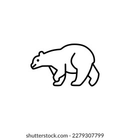 fat bear walking on his feet