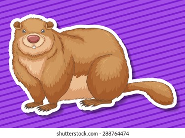 Fat beaver smiling on purple background