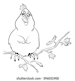 Fat bird