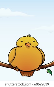 Fat bird on a branch