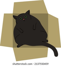 Fat black cat lying in a box funny illustration in flat style