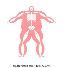 Fat body Anatomy skeleton. Wide bone. Fat Man Skeletal system Vector Illustration
