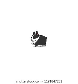 Fat boston terrier dog walking cartoon icon, vector illustration