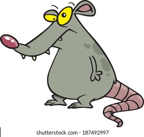 Fat Cartoon Rat