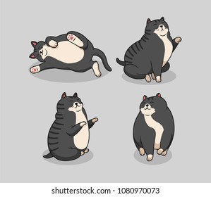 Fat cat 3 collection