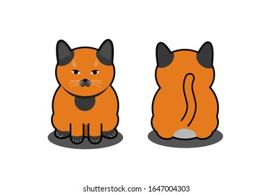Fat Cat Brown Pattern, Icon Cat, Cute Cat, Cat Sitting