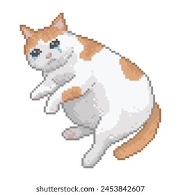 Fat cat crying with sadness, pixel art meme