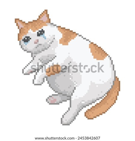 Fat cat crying with sadness, pixel art meme