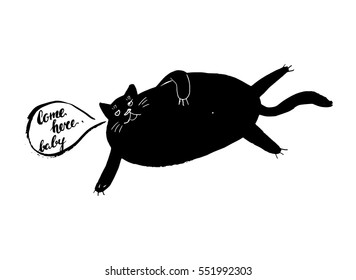 fat cat humor black animal pet