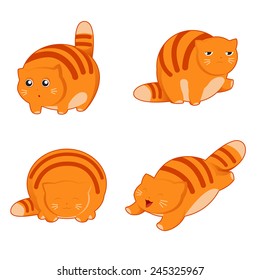 Fat cat icons