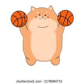 Fat cat jumped into the air with two basketballs
