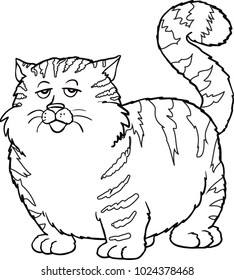 A fat cat on a white background