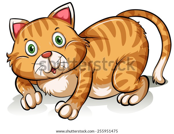 Fat Cat On White Background Stock Vector (Royalty Free) 255951475 ...