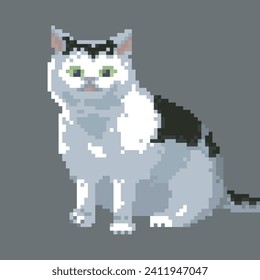 Fat cat, pixel art meme