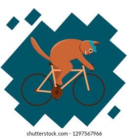 Fat cat rides a road bike. Vector image.