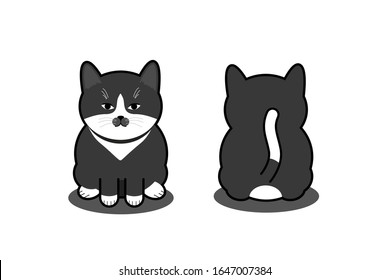 Fat Cat Sitting, Cute Cat, Black White